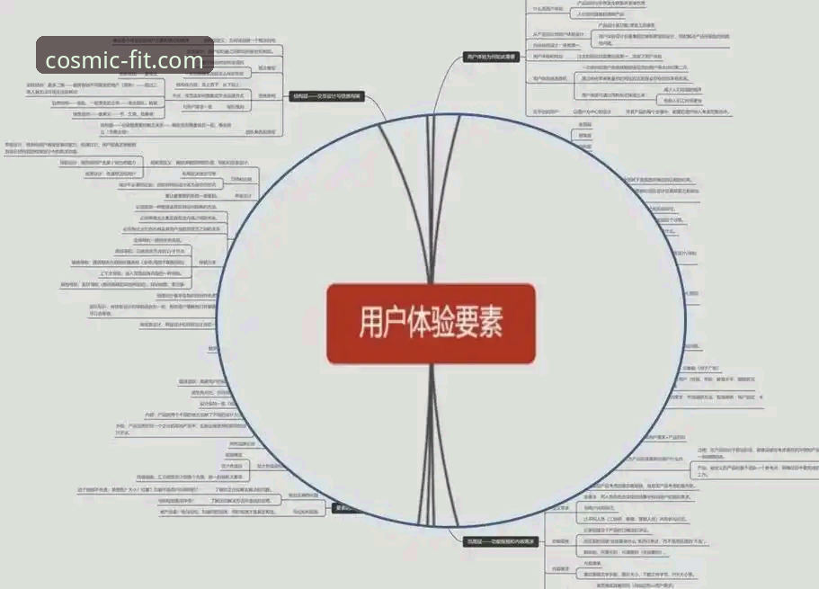 浩瀚体育平台版本选择深度分析：用户反馈与功能体验全面解读